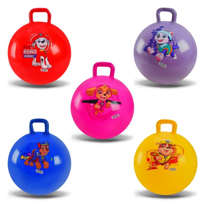 М'яч для фітнесу PB2113 (40 шт) Paw Patrol 55 см гирі 6 видів